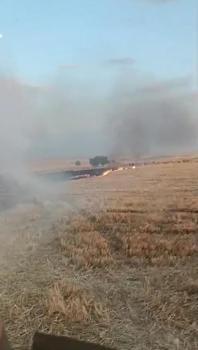 Mardin'in 3 ilçesinde çıkan yangınlar söndürüldü