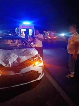 Derik'te otomobil eşeğe çarptı: Sürücü ve eşek yaralandı