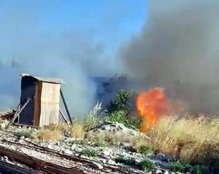 Avcılar'da otluk alanda çıkan yangın söndürüldü