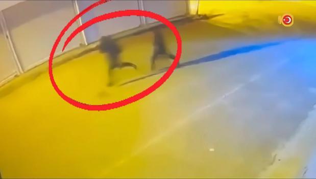 Diyarbakır’da çıkar amaçlı silahlı suç örgütüne operasyon: 15 tutuklama