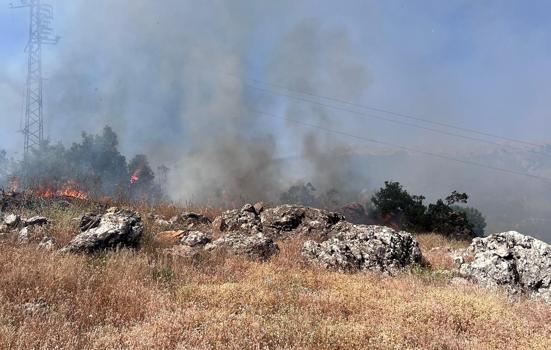 Bingöl'de örtü yangını söndürüldü