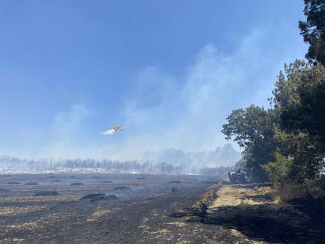 Çanakkale'de tarım arazisinde yangın (2)