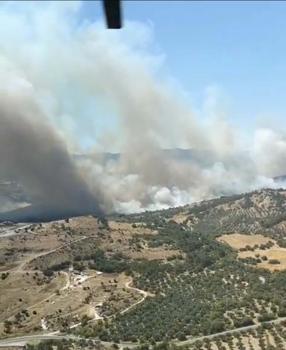 İzmir'de maki yangını (2)