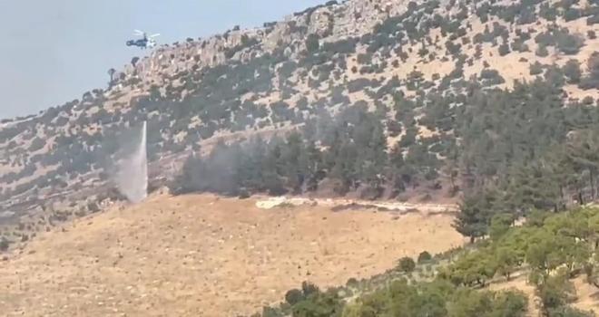 Gaziantep'te orman yangını