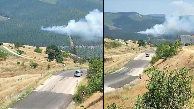 Bursa'da orman yangını