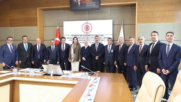Dilekçe Komisyonu ile İnsan Haklarını İnceleme Komisyonu Üyelerinden Oluşan Alt Komisyon toplandı