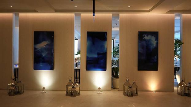 VISION Art Platform ve The Bodrum EDITION'dan çağdaş sanat alanında iş birliği