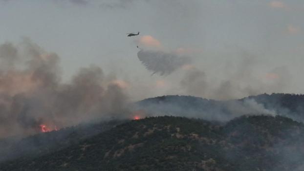 Malatya'da orman yangını (2)