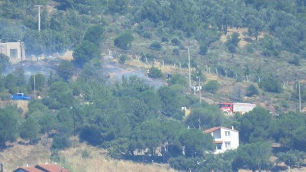 Cunda Adası'nda orman yangını
