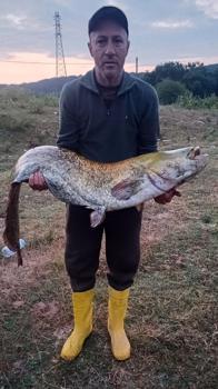 Amatör balıkçı oltayla 35 kilo yayın balığı yakaladı