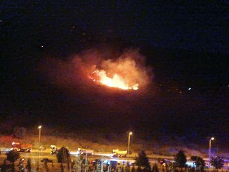 İzmir'de otluk alanda yangın (2)