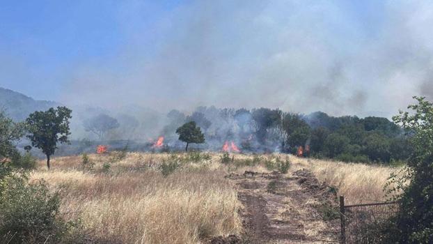 Çanakkale'de orman yangını
