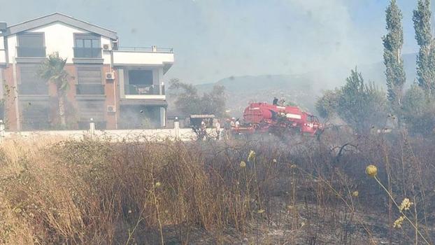 Balıkesir’deki zeytinlik yangını kontrol altında
