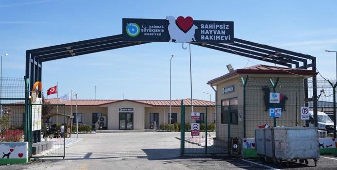 Tekirdağ'da sahipsiz 5 bini aşkın hayvana bakım ve tedavi uygulandı