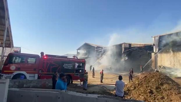 Şanlıurfa'da hayvan çiftliğinde yangın