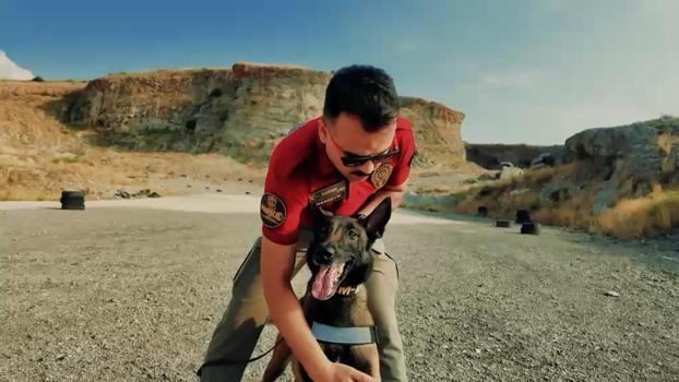 Jardi, 3'üncü kez Türkiye'nin en başarılı görev köpeği seçildi