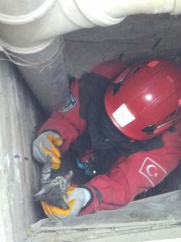 Havalandırma boşluğundaki boruya sıkışan 2 kediyi itfaiye kurtardı