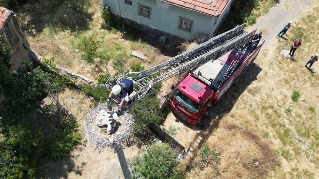 Yuvasında ayağına ip dolanan yavru leyleğe itfaiye yardımı