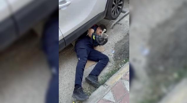 Otomobilin motor kısmına giren yavru kediyi itfaiye kurtardı
