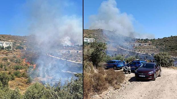 Bodrum'da otluk ve makilik alanda yangın