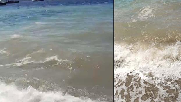 Bodrum'da deniz kirliliği; soruşturma başlatıldı