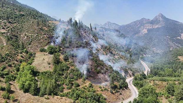 Adana'da orman yangını