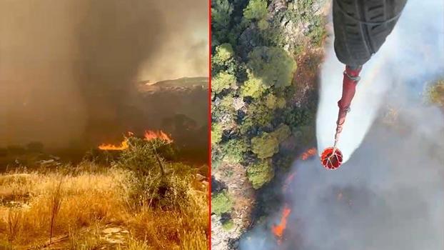 Muğla'da orman yangını