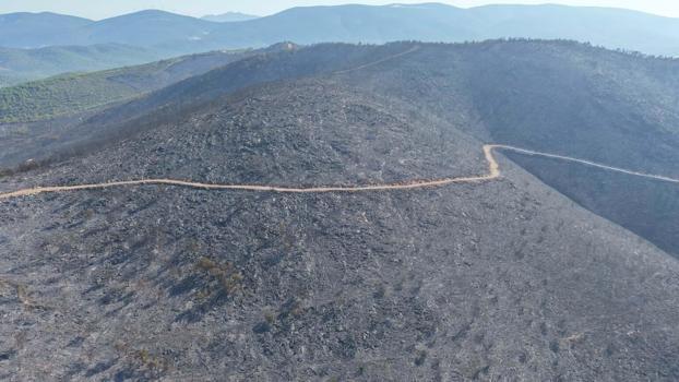 Milas'taki orman yangını 2'nci gününde (3)