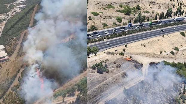 İzmir'de otluk alanda çıkan yangın, ormana sıçradı
