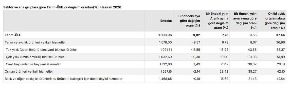 TÜİK: Tarım üretici fiyatları aylık yüzde 9,02 azaldı