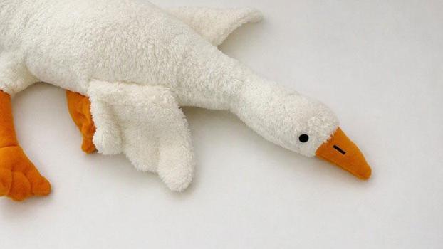Bakanlıktan 'peluş kaz' oyuncağına yasak ve toplatma kararı