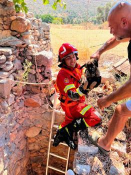 Milas’ta kuyuda mahsur kalan yavru köpeği itfaiye kurtardı