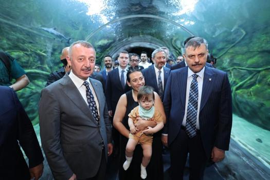 Bakan Çiftçi: Sahipsiz sokak hayvanlarının yüzde 92,35'i barınaklarda muhafaza ediliyor (2)