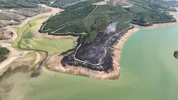 Tekirdağ'da yangında 80 dekar orman zarar gördü
