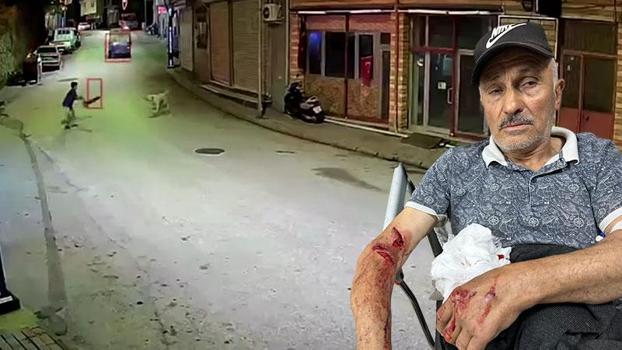 Ordu'da skuterlı çocuk köpeklerin saldırısına uğradı; o anlar kamerada