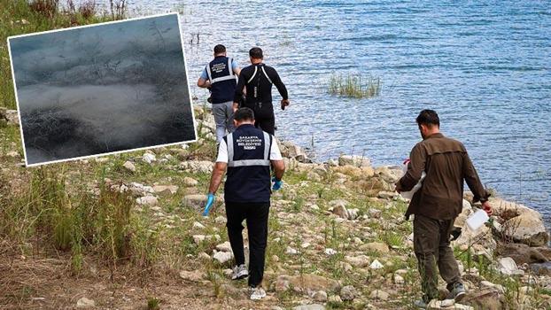 Sapanca Gölü'ndeki pamuksu tabakanın nedeni ortaya çıktı