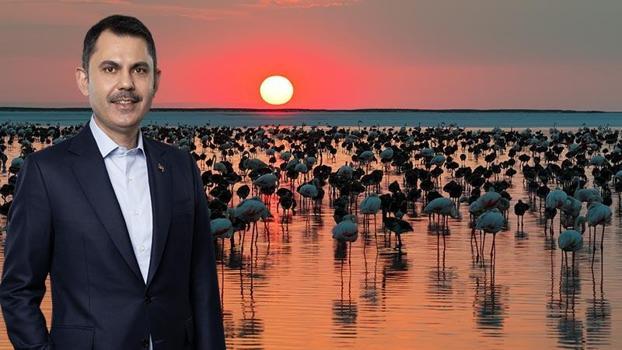 Bakan Kurum'dan 'Flamingo' paylaşımı