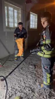 Osmaniye'de eve girmeye çalışan zehirli engerek, yakalanıp doğaya bırakıldı