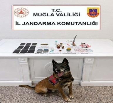 Muğla'da uyuşturucu operasyonlarında 5 tutuklama