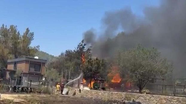 Muğla'da orman yangını