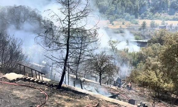 Muğla'da orman yangını (2)