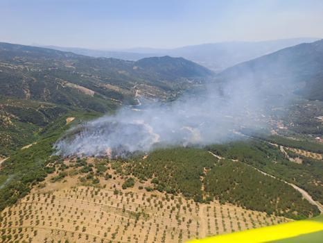 Aydın'da orman yangını (2)