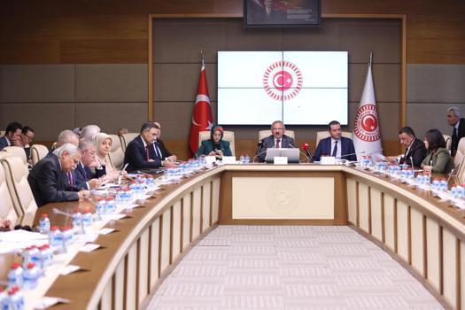 Okul Olaylarını Araştırma Komisyonu'ndaki vekillerden 'bireysel silahların sınırlandırılması' önerisi