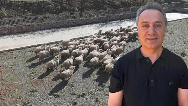TOGÜ Rektörü Yılmaz: Tescilli Karayaka ırkını geleceğe taşıyoruz