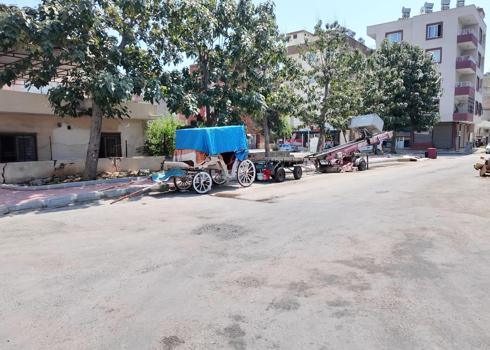 Mersin’de bitkin düşen at kurtarıldı