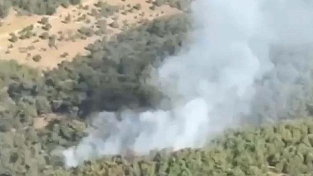 Balıkesir'de orman yangını