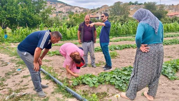 Hastalık ve zararlı takip çalışmaları