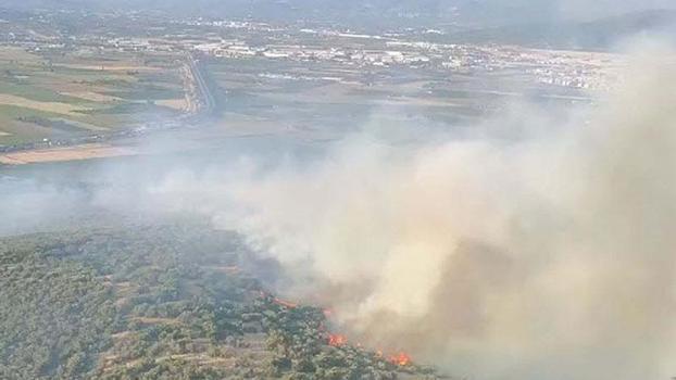 İzmir’de orman yangını