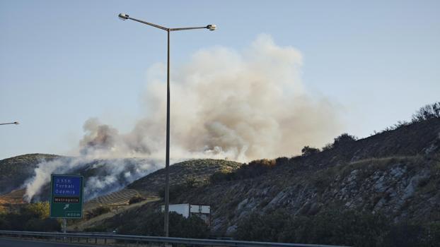 İzmir’de orman yangını / Ek fotoğraflar