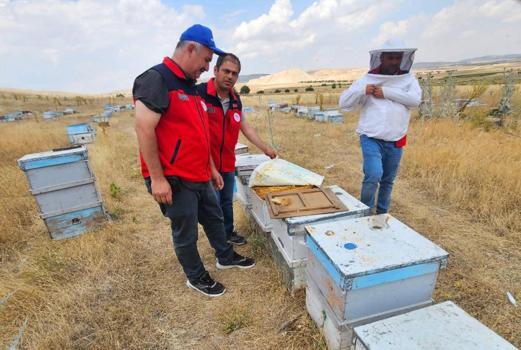 Arı kovanları kayıt altına alındı